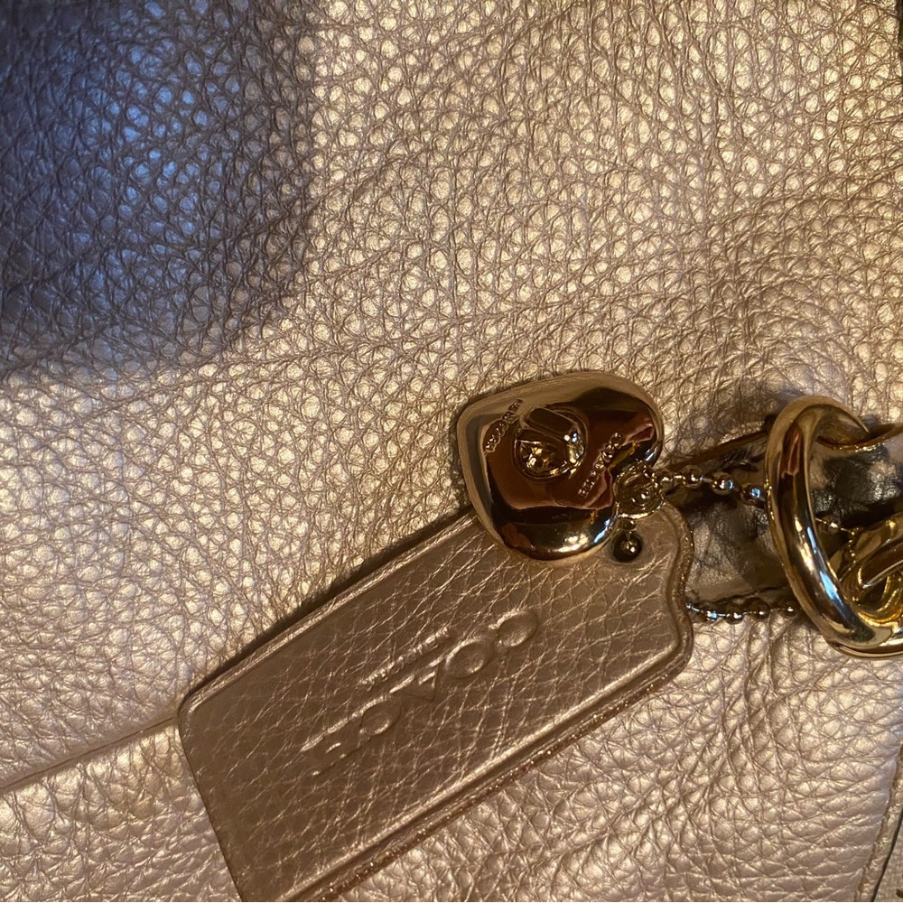 Coach Kelsey Satchel  Metallic Platinum/Gold Leather Bag with Reptile Trim - Picture 3 of 14